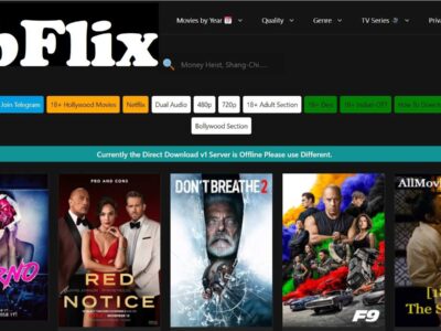 HubFlix 2022: Download Hindi Dubbed Hollywood and Bollywood Movies