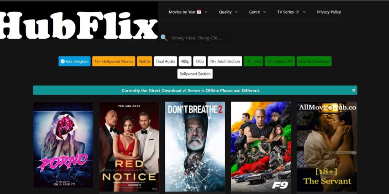 HubFlix 2022: Download Hindi Dubbed Hollywood and Bollywood Movies